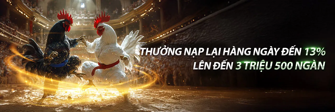 Sân đấu đá gà trực tuyến Bong Vip